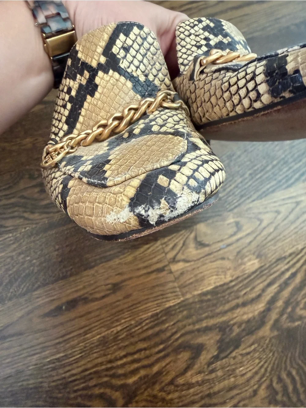Tory Burch Snake-Print Chain Mule in Gold and Black with Box